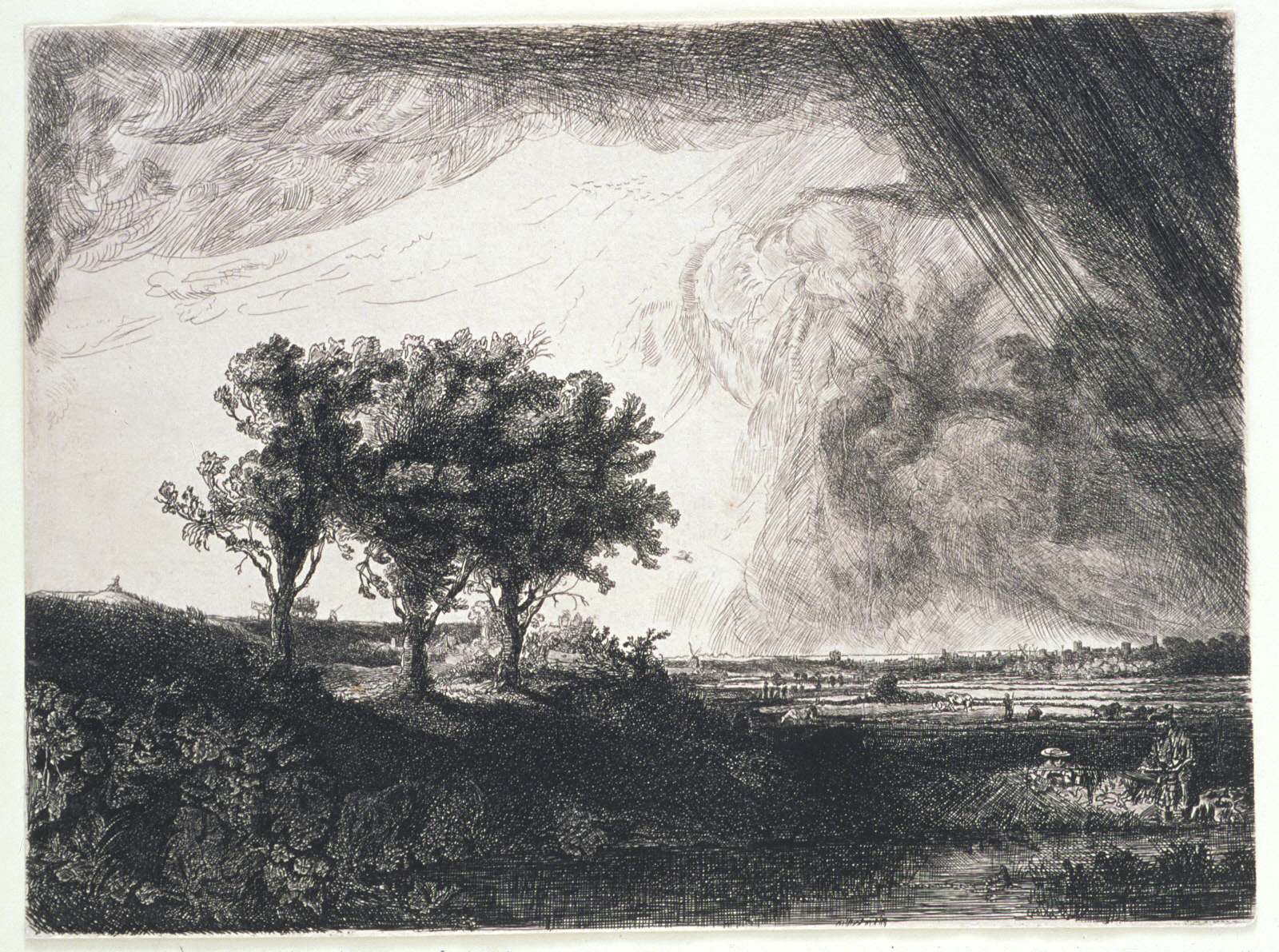 Image result for William Baillie, The Three Trees at Clark Art Institute