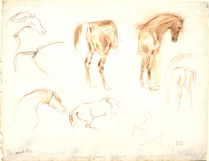 Studies of Horses