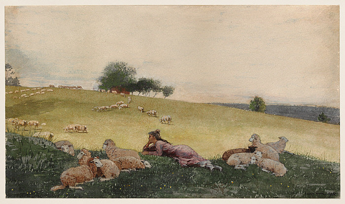 Shepherdess of Houghton Farm