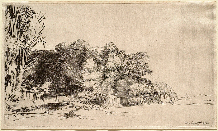 Landscape with a Clump of Trees