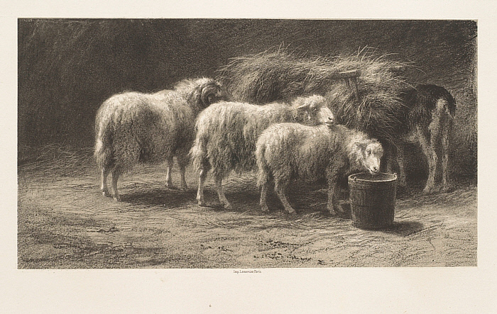 Sheepfold (Bergerie)