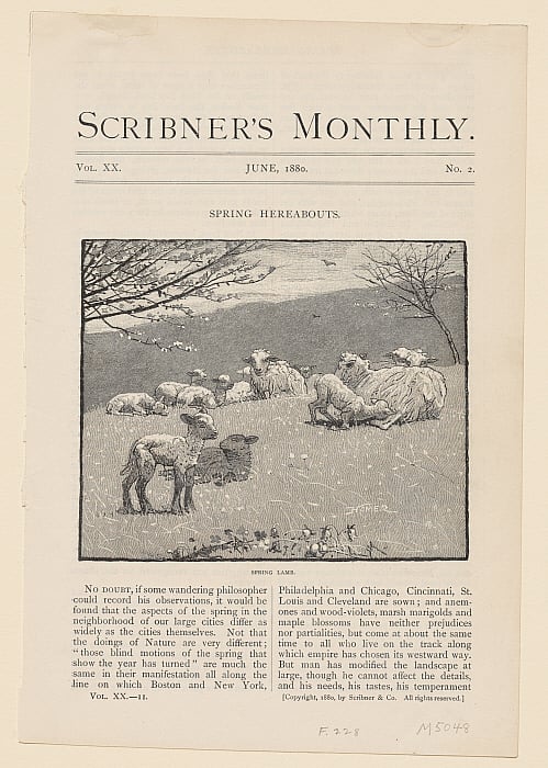 Spring Lamb Slider Image 1