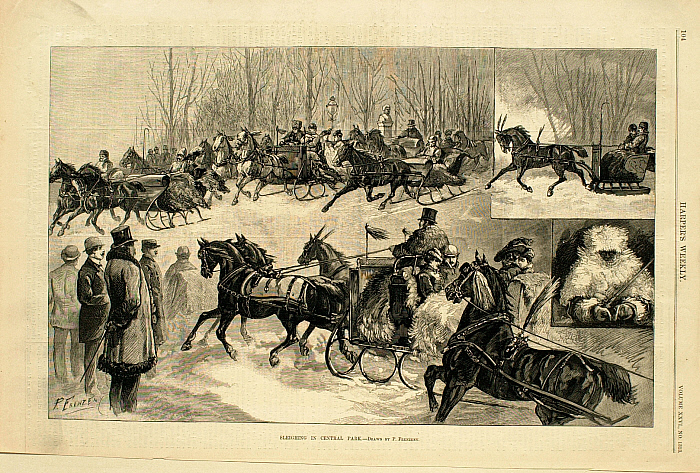 Sleighing in Central Park