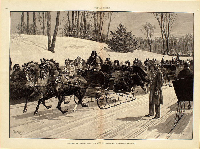 Sleighing in Central Park, New York City