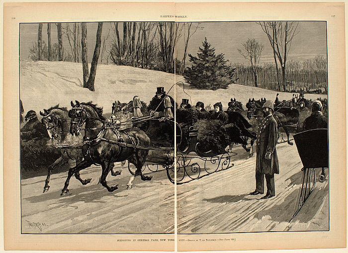 Sleighing in Central Park, New York City