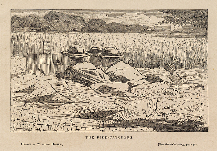 The Bird-Catchers Slider Image 1