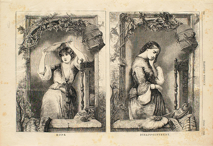 Hope, and, Disappointment