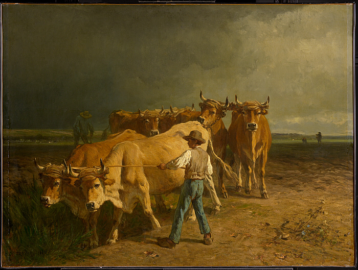 Oxen Plowing Slider Image 1