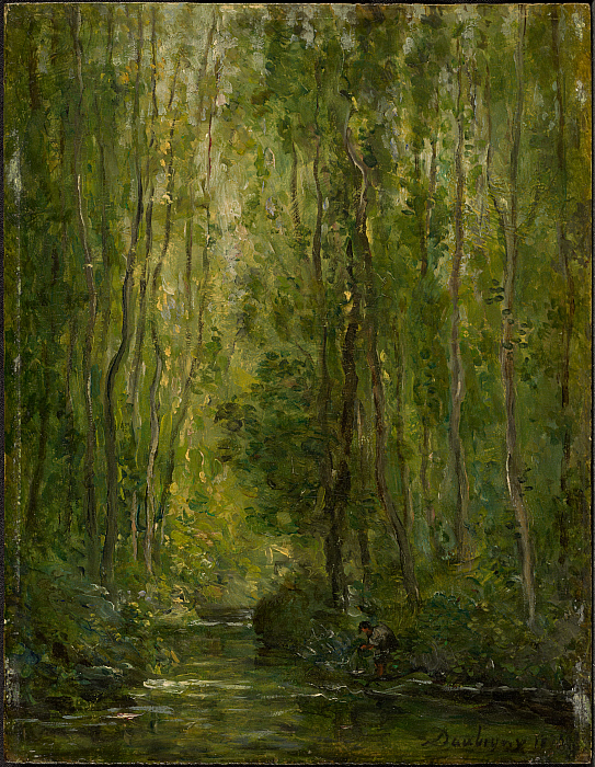 Woodland Scene