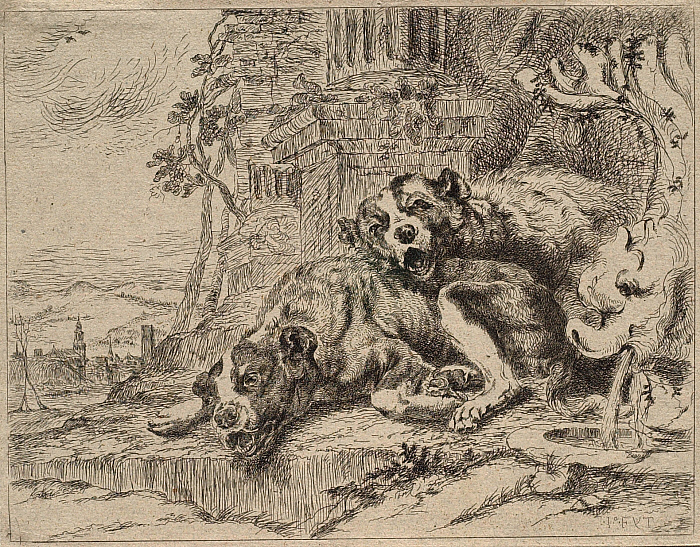 Two Dogs Resting by a Fountain