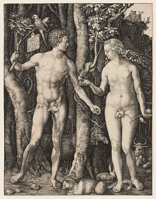 Adam and Eve Slider Image 1