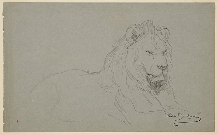 Study of a Lion's Head