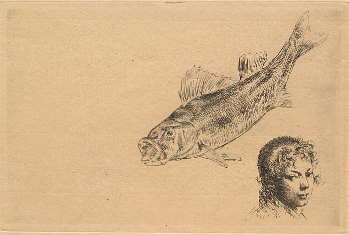 Sketches: Fish and Girl's Head