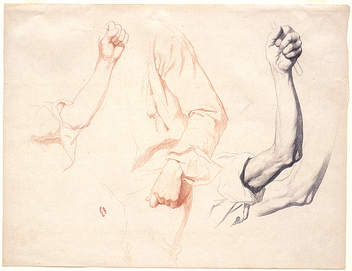 Sheet of Studies: Arms and a Study of a Draped Arm and Shoulder