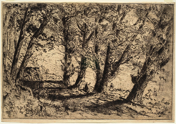 A Row of Trees along the Water, a Shack to the Left