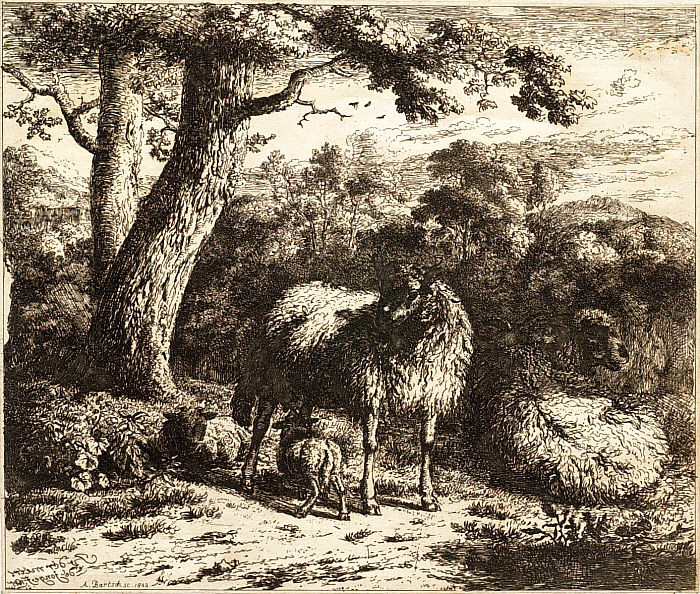 The Standing Sheep with Two Lambkins