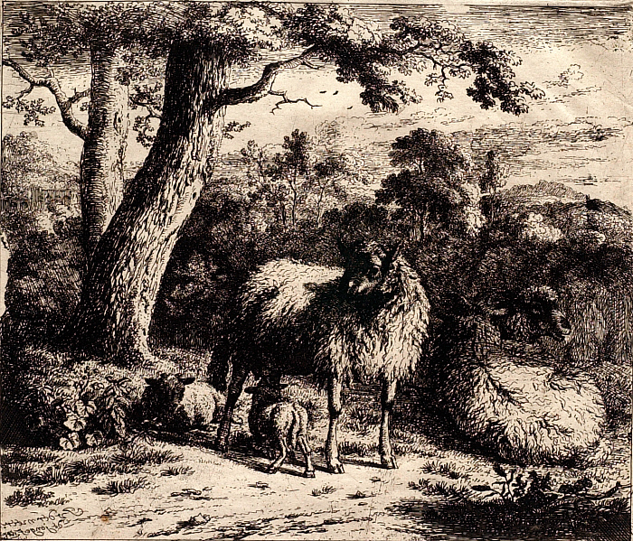 The Standing Sheep with Two Lambkins