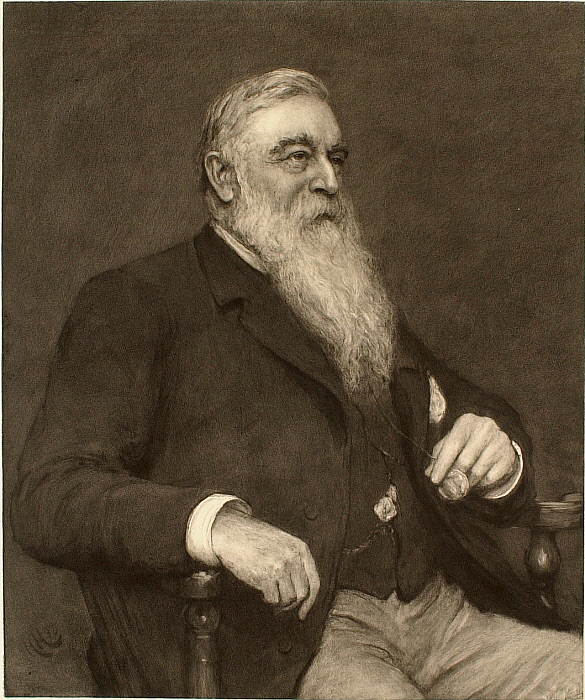 Portrait of a Seated Gentleman with Beard