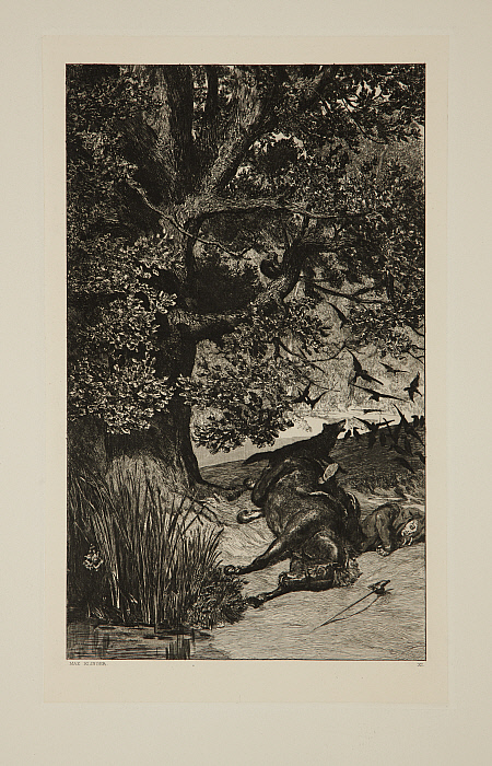 Fallen Rider (Gefallener Reiter)
