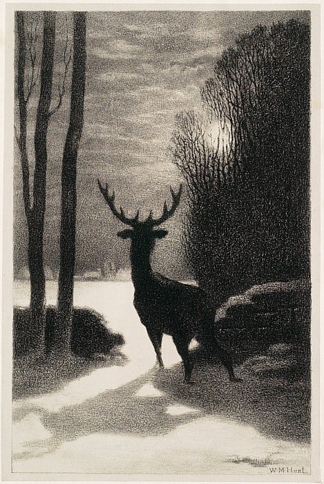 A Winter Stag