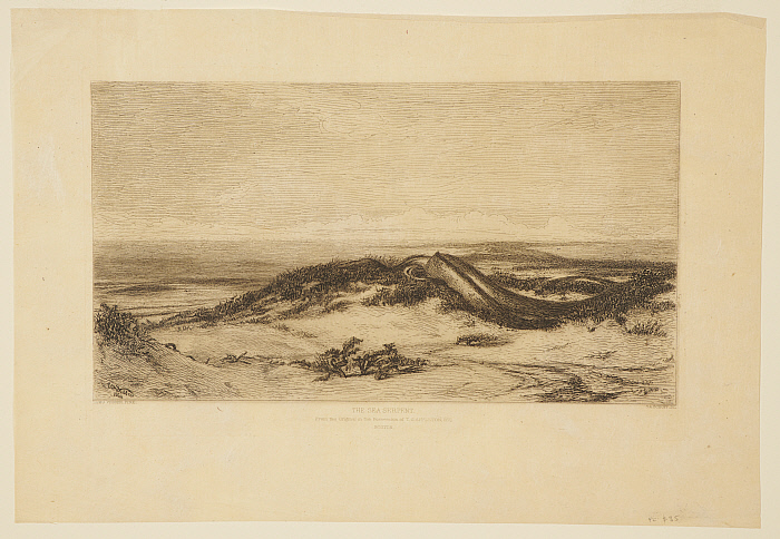 The Sea Serpent Slider Image 1