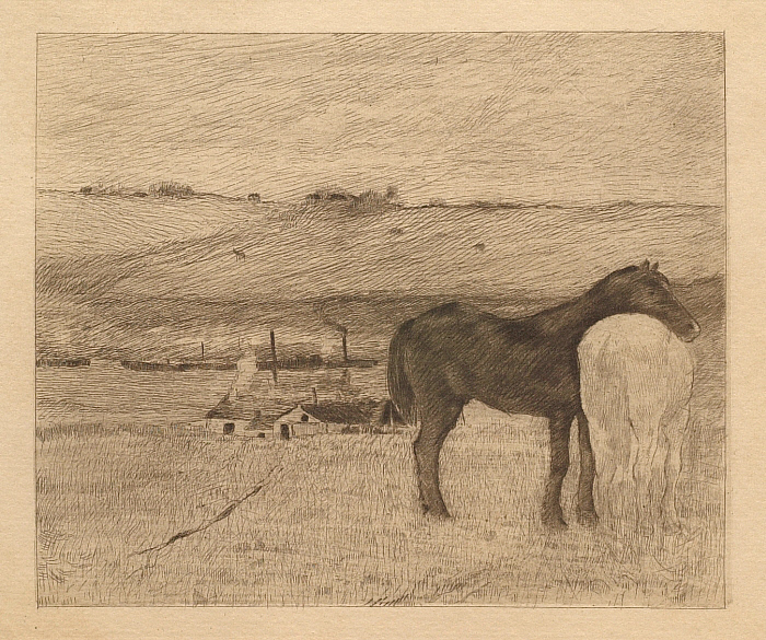 Horses in the Meadow