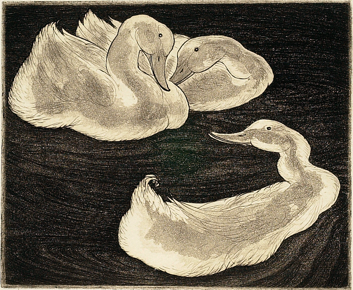 Three Peking Ducks