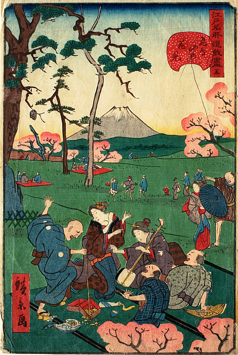 Cherry Blosson Viewing at Asuka Hill