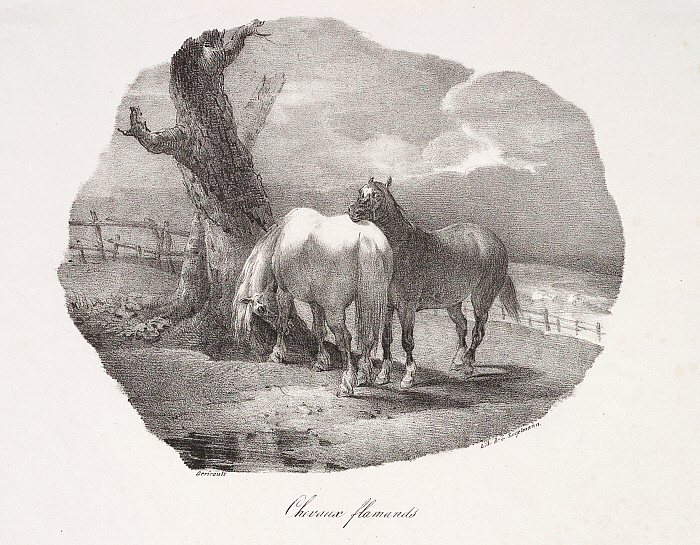 Chevaux flamands Slider Image 1