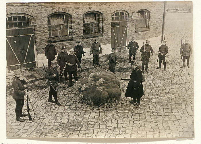 German Officers Requisitioning Sheep