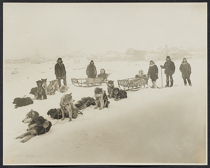 Dog Teams, Nome