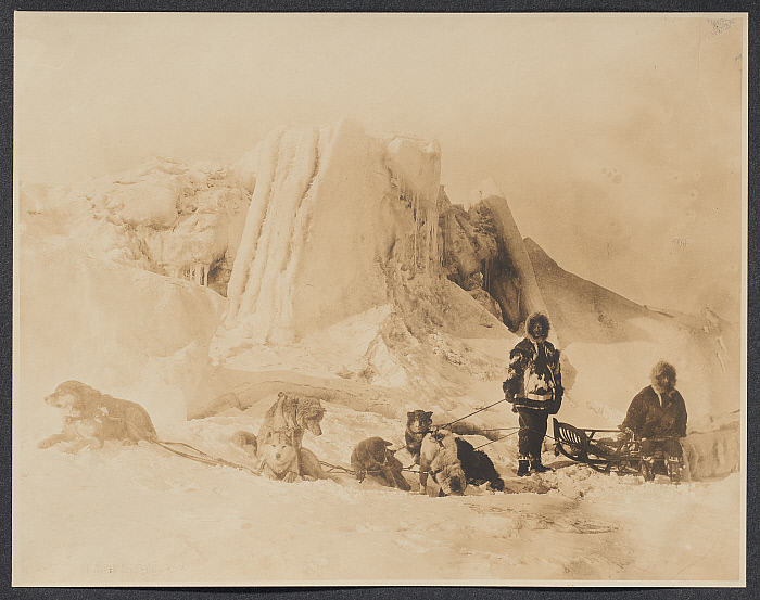 Dog Team on Ice
