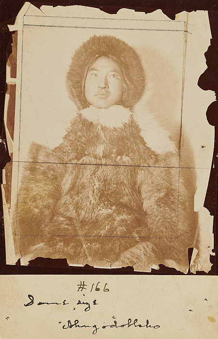 Studies of Greenland Eskimos: Portrait of Shangodoblako