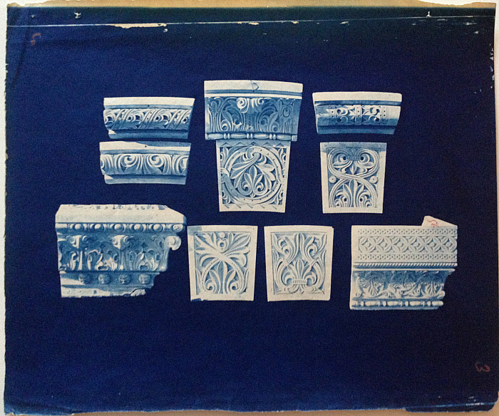 Details of Ornamental Samples with Organic Patterns