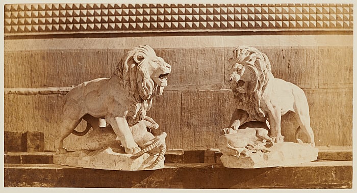 Sample Statues of Lions Protecting Their Kill Taken Outdoors