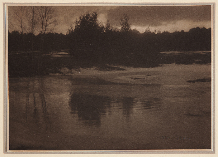 Pond, Winter