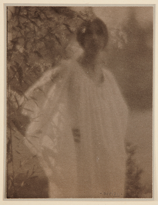 Woman in a White Gown (Laura Seeley)