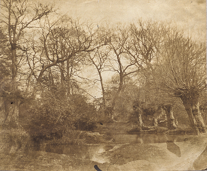 Landscape, from the "Gray Albums"
