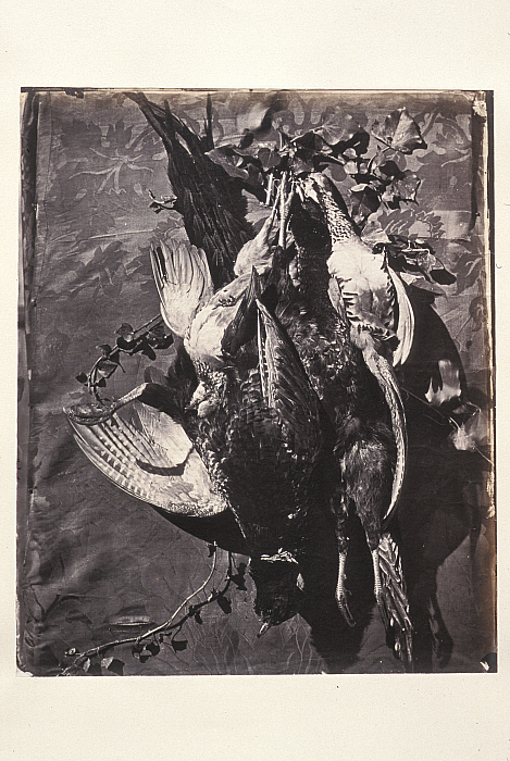 Still Life with Game Birds