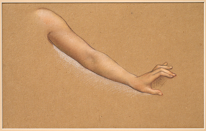 Study of a Woman's Arm