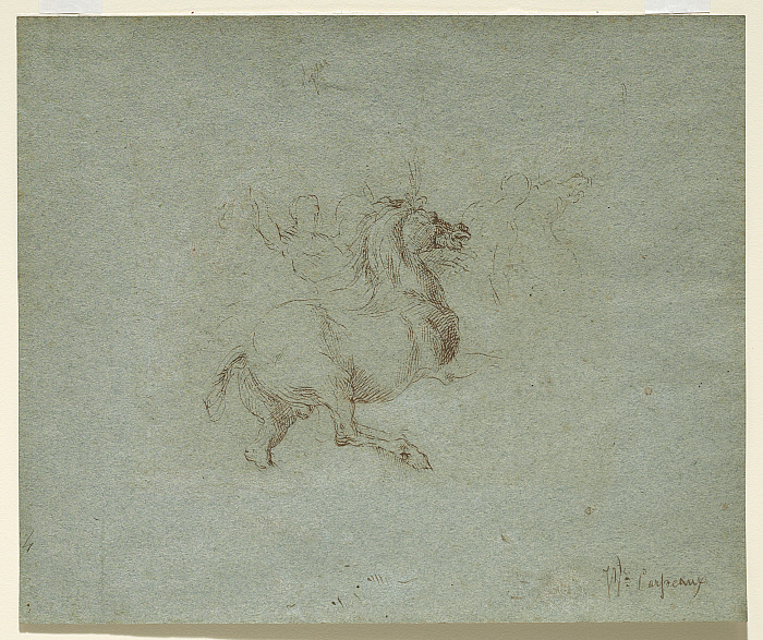 Horse and Rider