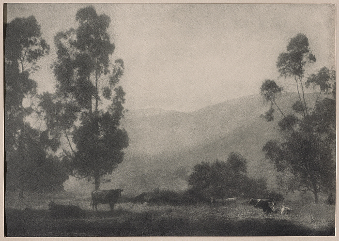 Landscape with Cows Slider Image 1