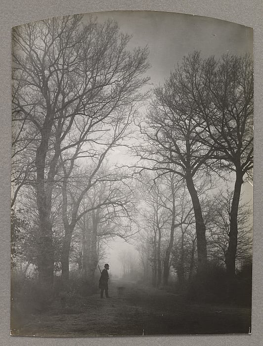 Huntsman in an Alley of Trees at Précicet