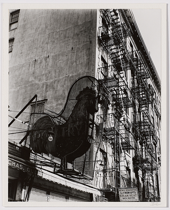 Poultry Shop, East Seventh Street, New York
