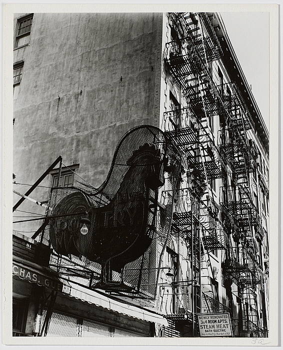 Poultry Shop, East Seventh Street, New York