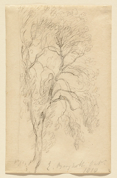 Study of an Ash Tree, East Bergholt