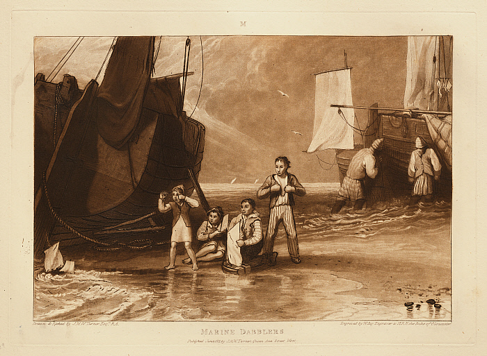 Marine Dabblers