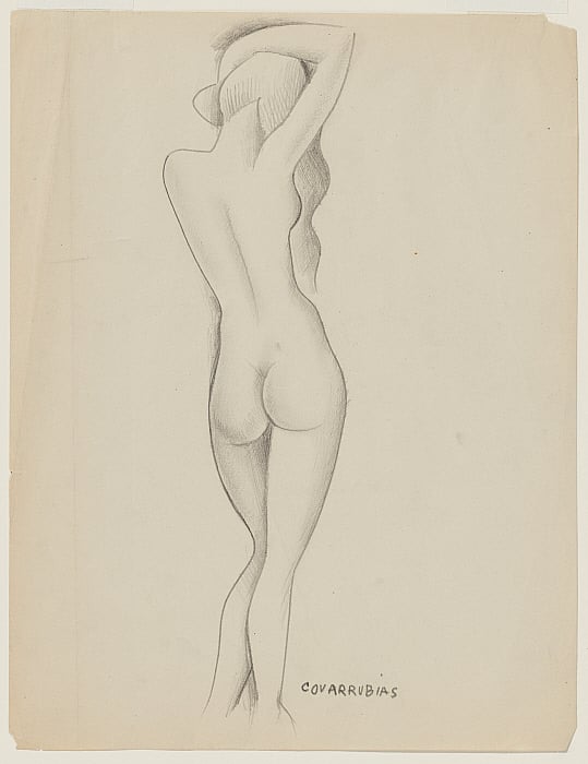 Female Nude from Rear