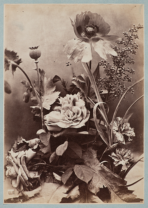 Roses, Poppies, and Carnations Slider Image 1