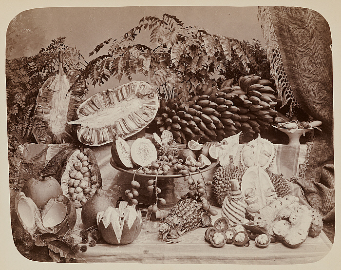 Tropical Fruits of Southern Asia